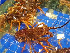 -徐记海鲜(陕西历史博物馆|明德门店)