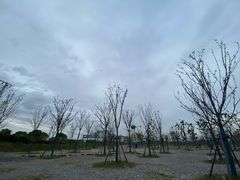 -南汇新城海滩