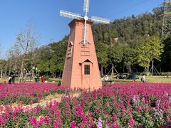 -顺峰山公园