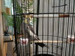 -阜昌典当行(阜成门店)