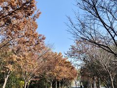 -东湖落雁景区