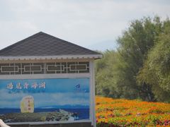 -青海湖二郎剑景区