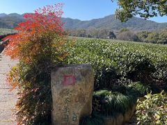 -中国茶叶博物馆(双峰馆区)