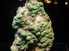 -山东博物馆