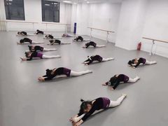 -西安小天鹅艺术团(金花路校区)