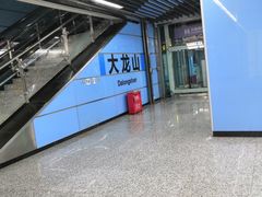 -大龙山(地铁站)