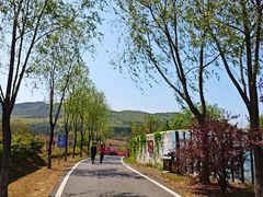 -大连铭湖国际观光牧场
