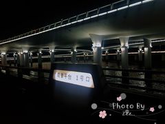 -演武大桥观景平台