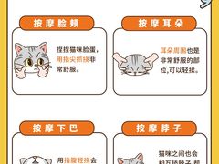 -Bastet sally猫舍购宠(静安店)