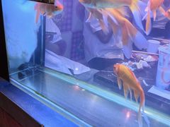 -粗粮人家·东北菜(洋桥店)