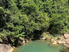 -广州白江湖森林公园