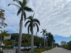 -金鸡岭桥头公园