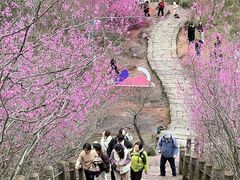 -天台山赤城山景区