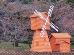 -苏州上方山国家森林公园