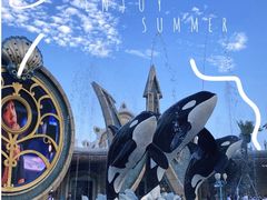 -上海海昌海洋公园