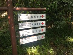 -龙井村
