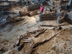 -自贡恐龙博物馆