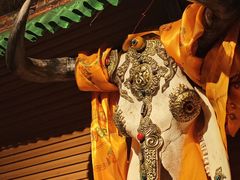 -吉祥圣雪藏餐