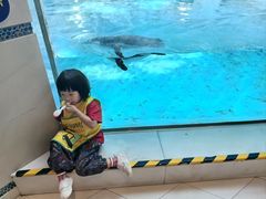 -帝企鹅自助餐厅•儿童岛•真企鹅(长隆企鹅酒店)