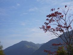 -广州市流溪河国家森林公园