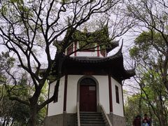 -上海佘山国家森林公园天马山园