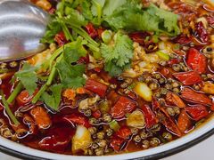 -东北饺子馆(马尾君竹店)