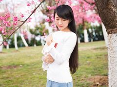 大理大学樱花写真-理想国摄影(三塔店)