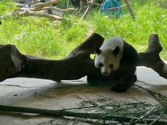 -宁波野生动物园