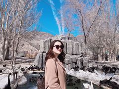 -新疆天山野生动物园