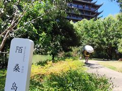 -长兴太湖图影湿地文化园