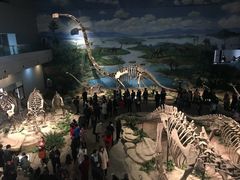 -自贡恐龙博物馆