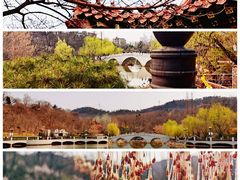 -大连植物园