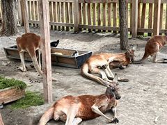 -水上乐园·欢乐世界