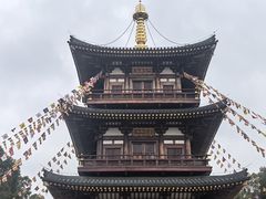 -庐山风景名胜区-东林大佛