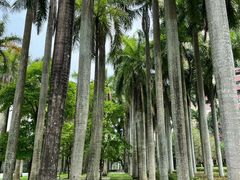 -燕晗山郊野公园