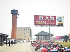 -胖大姐黄辣丁鱼庄(新津店)