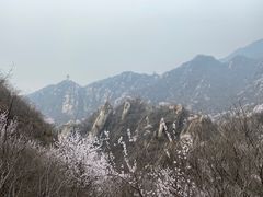 -北京凤凰岭