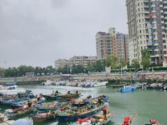 -悦海公园