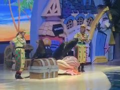 -三亚海昌梦幻海洋不夜城