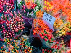 -循礼门鲜花花市(武汉循礼门店)