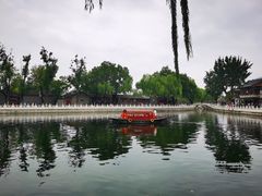 -东兴顺爆肚张