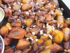 -DM CHICKEN 分米鸡