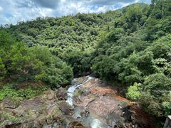 -广州白江湖森林公园