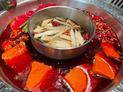 -晓宇重庆火锅(赛格国际购物中心店)