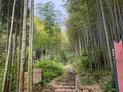 -五泄景区