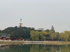-老爆肚满五香烧牛羊肉