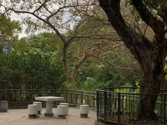 -九龙公园