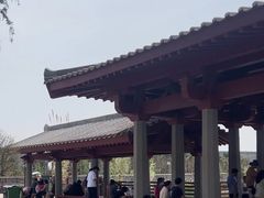 -洛阳古墓博物馆