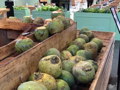 -椰夫人·养生椰子鸡(金沙洲永旺店)