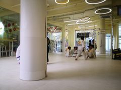 -勇气斑马·巴西柔术&跆拳道(浦东三林店)